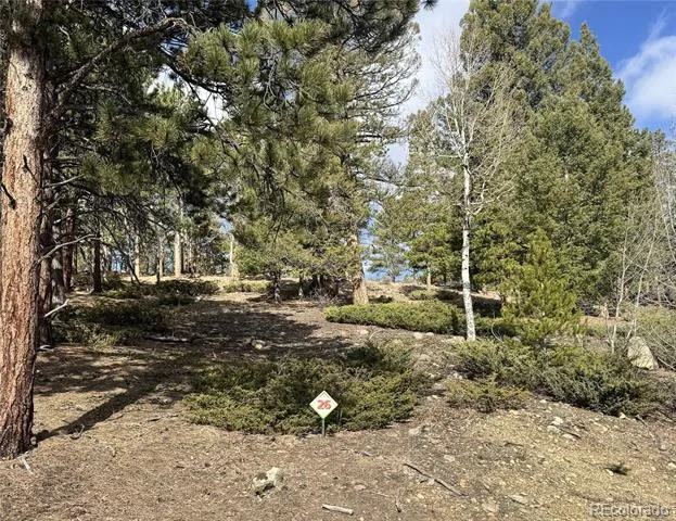 30317 Aspen Turn Buena Vista, CO 81211