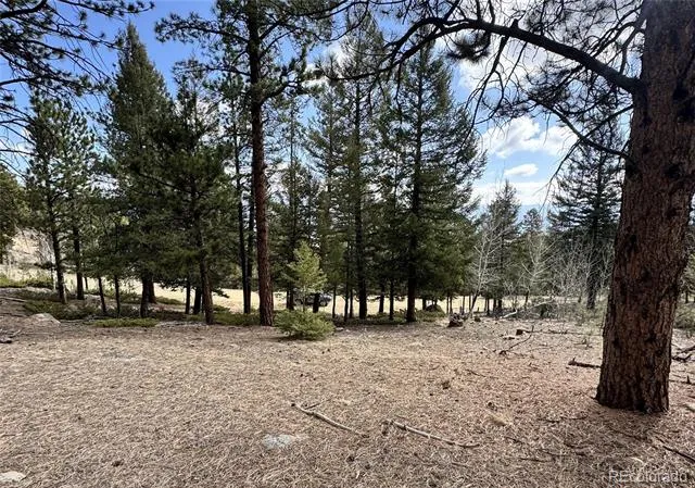 30317 Aspen Turn Buena Vista, CO 81211