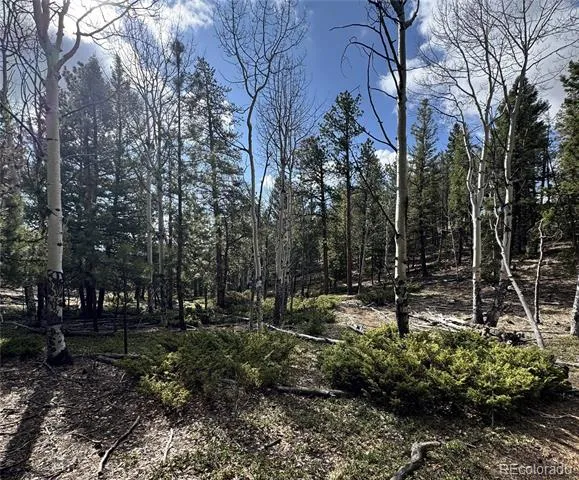 30317 Aspen Turn Buena Vista, CO 81211