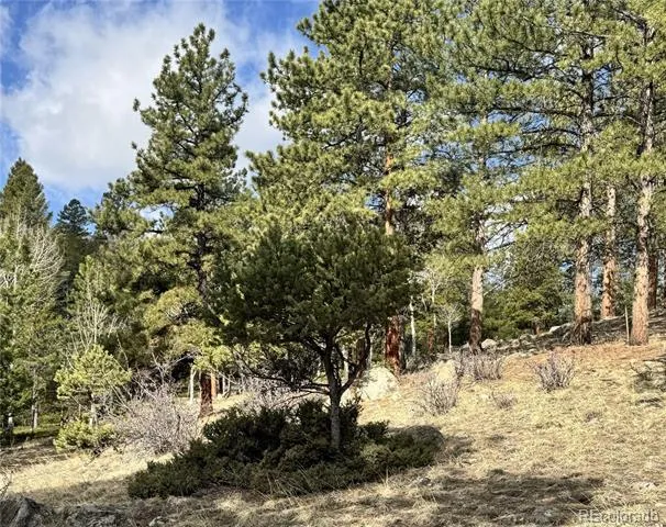 30317 Aspen Turn Buena Vista, CO 81211