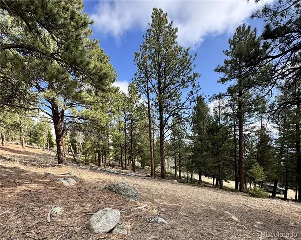 30317 Aspen Turn Buena Vista, CO 81211