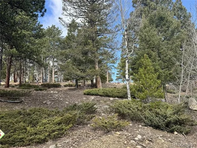 30317 Aspen Turn Buena Vista, CO 81211