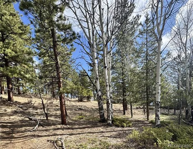 30317 Aspen Turn Buena Vista, CO 81211