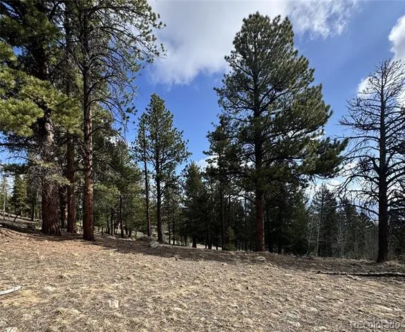 30317 Aspen Turn Buena Vista, CO 81211