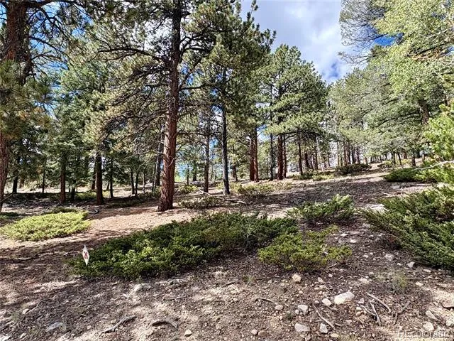 30317 Aspen Turn Buena Vista, CO 81211