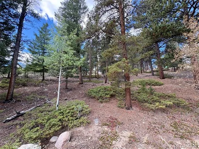 30317 Aspen Turn Buena Vista, CO 81211