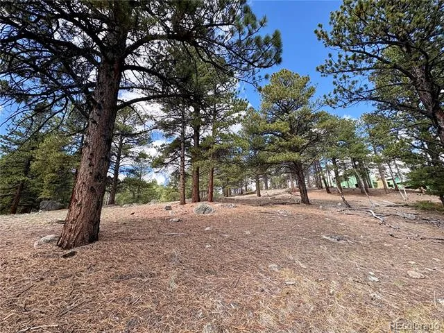 30317 Aspen Turn Buena Vista, CO 81211