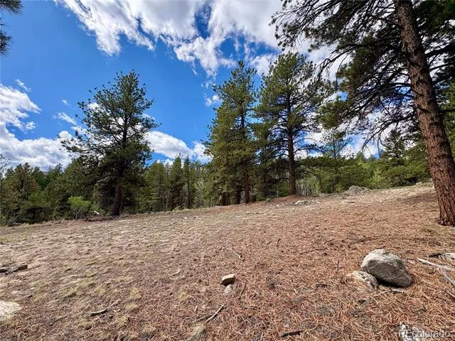 30317 Aspen Turn Buena Vista, CO 81211