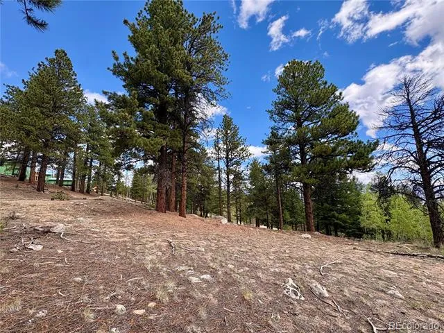 30317 Aspen Turn Buena Vista, CO 81211