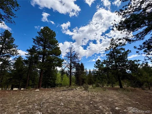 30317 Aspen Turn Buena Vista, CO 81211