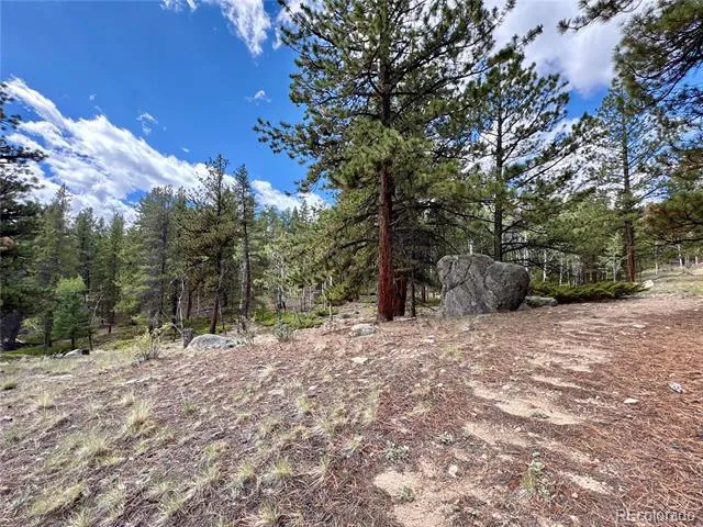 30317 Aspen Turn Buena Vista, CO 81211