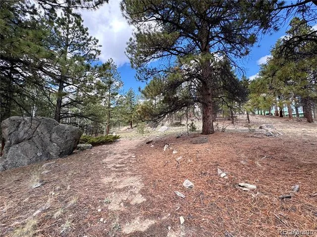 30317 Aspen Turn Buena Vista, CO 81211