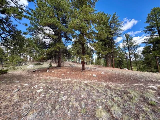 30317 Aspen Turn Buena Vista, CO 81211