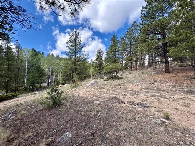 30317 Aspen Turn Buena Vista, CO 81211