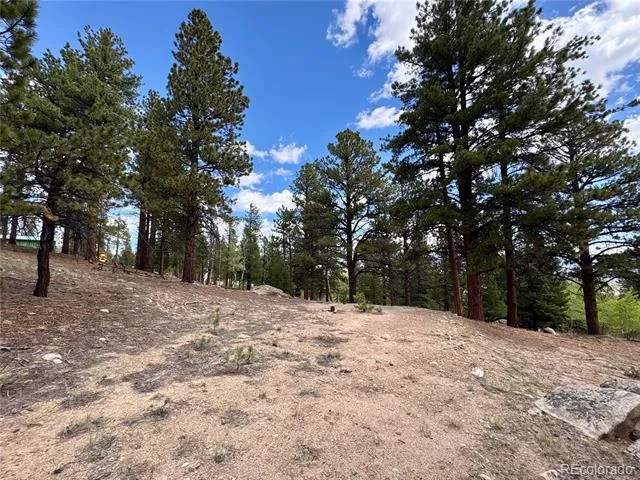 30317 Aspen Turn Buena Vista, CO 81211