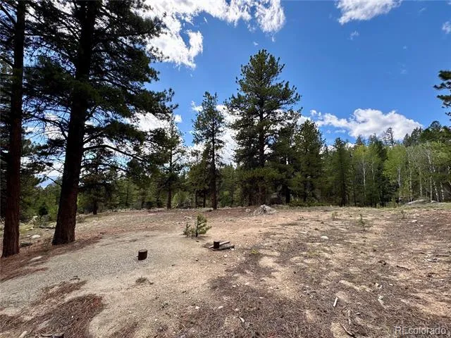 30317 Aspen Turn Buena Vista, CO 81211