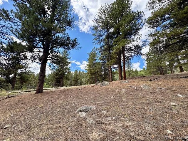 30317 Aspen Turn Buena Vista, CO 81211