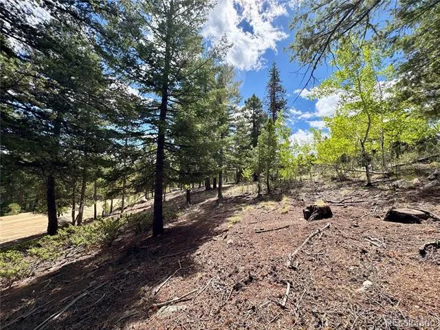 30317 Aspen Turn Buena Vista, CO 81211