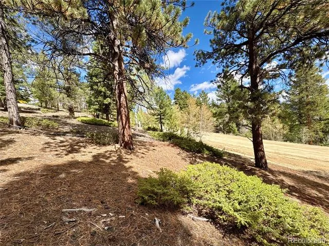 30317 Aspen Turn Buena Vista, CO 81211