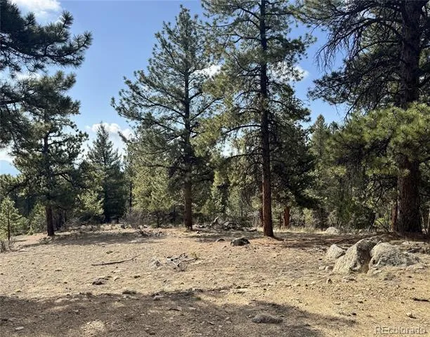 30317 Aspen Turn Buena Vista, CO 81211