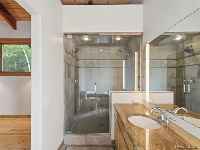 531 Buck Point Drive Carbondale, CO 81623
