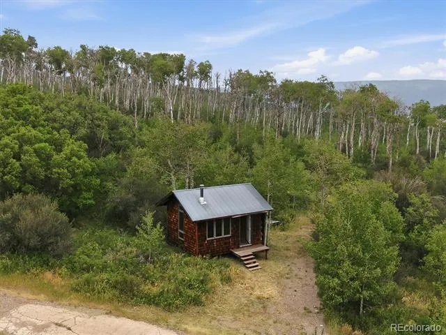 531 Buck Point Drive Carbondale, CO 81623