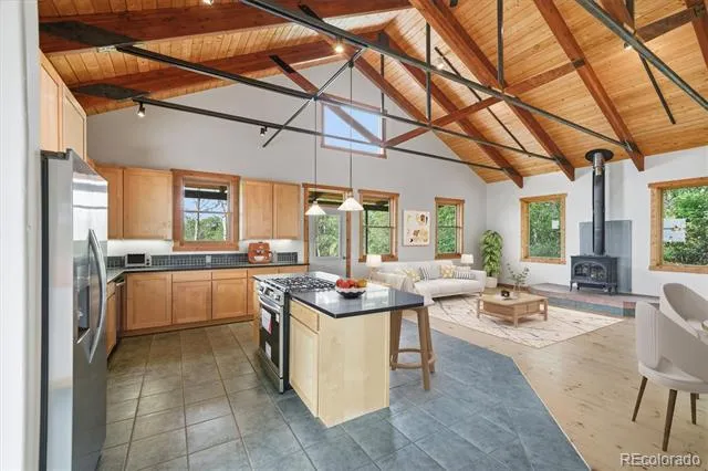 531 Buck Point Drive Carbondale, CO 81623