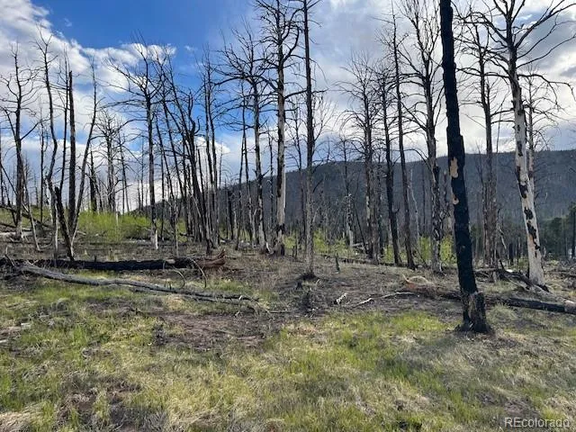 Lot 2248 Buonaventura Lane Fort Garland, CO 81133