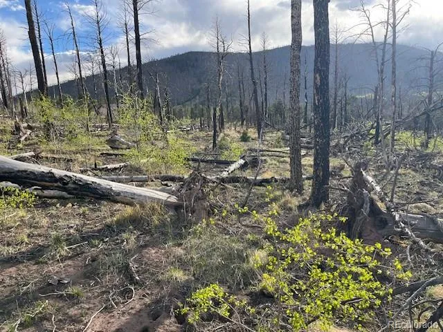 Lot 2248 Buonaventura Lane Fort Garland, CO 81133