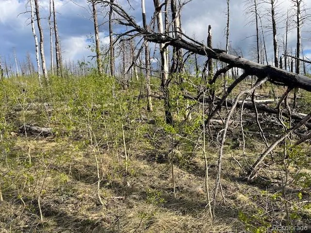Lot 2248 Buonaventura Lane Fort Garland, CO 81133