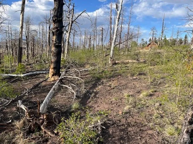 Lot 2248 Buonaventura Lane Fort Garland, CO 81133
