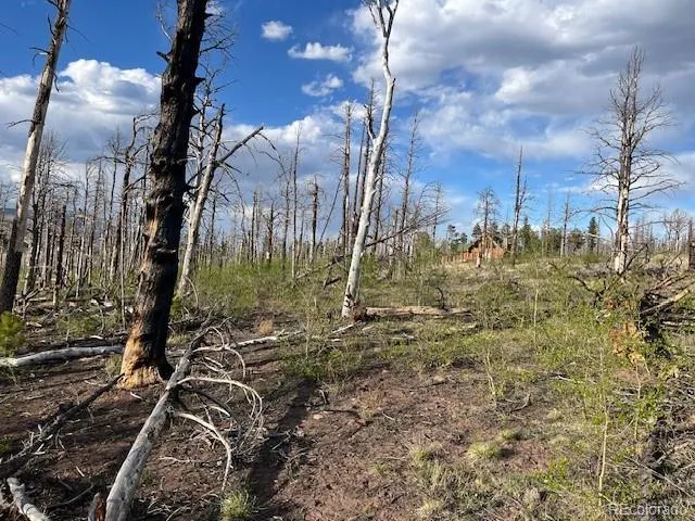 Lot 2248 Buonaventura Lane Fort Garland, CO 81133