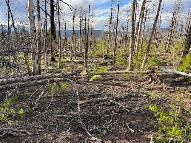 Lot 2248 Buonaventura Lane Fort Garland, CO 81133