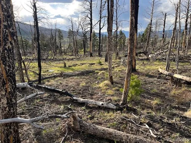 Lot 2248 Buonaventura Lane Fort Garland, CO 81133