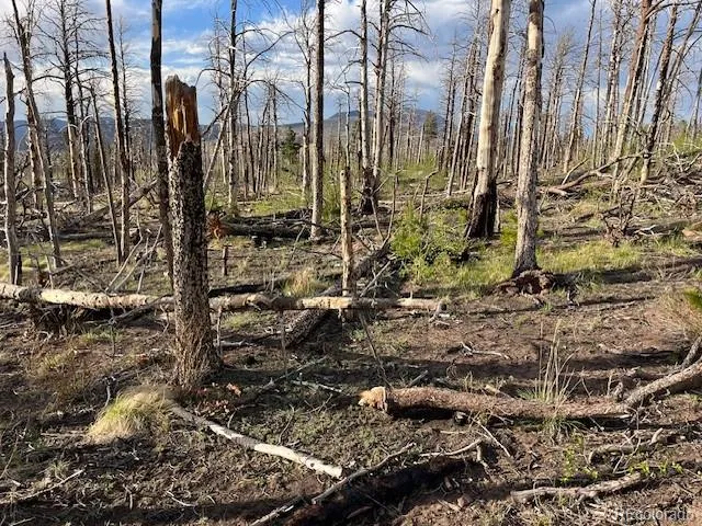 Lot 2248 Buonaventura Lane Fort Garland, CO 81133