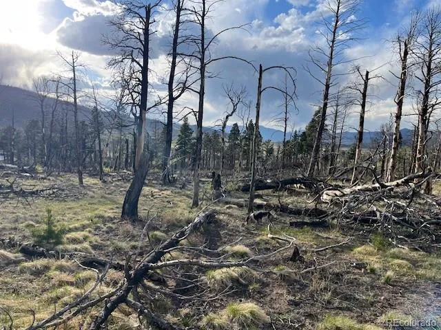Lot 2248 Buonaventura Lane Fort Garland, CO 81133