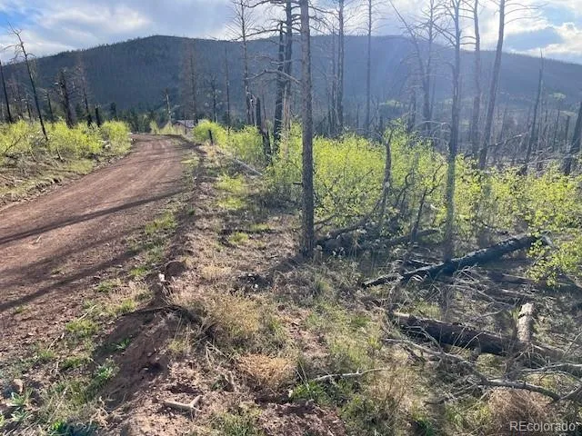 Lot 2248 Buonaventura Lane Fort Garland, CO 81133