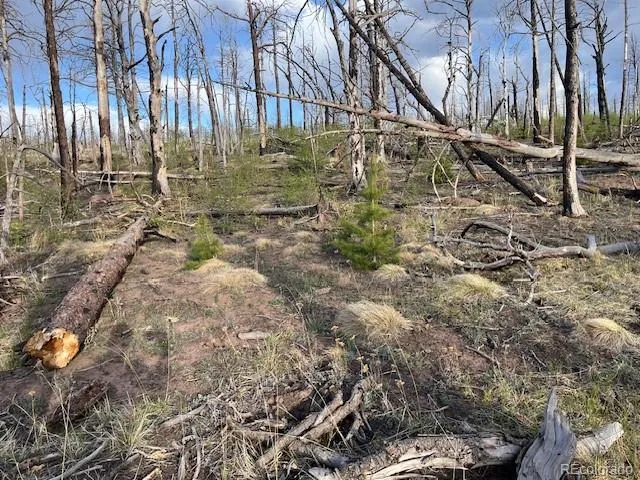 Lot 2248 Buonaventura Lane Fort Garland, CO 81133