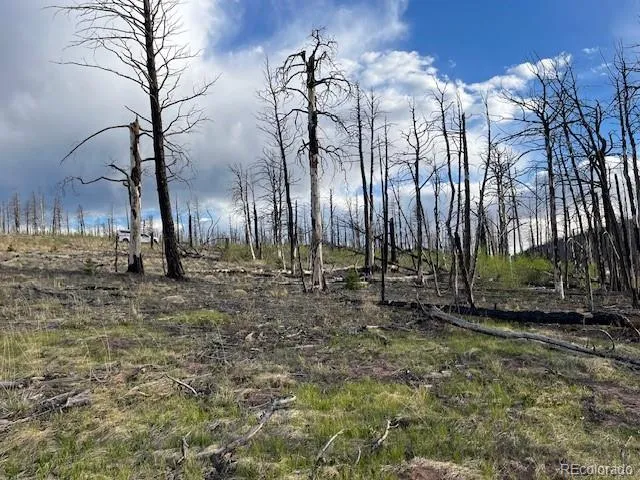 Lot 2248 Buonaventura Lane Fort Garland, CO 81133