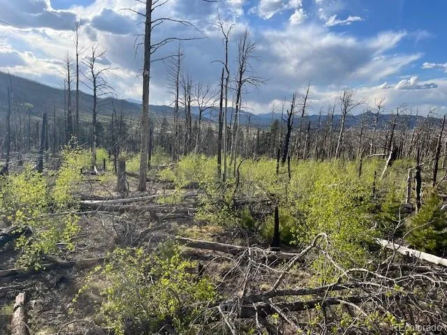 Lot 2248 Buonaventura Lane Fort Garland, CO 81133