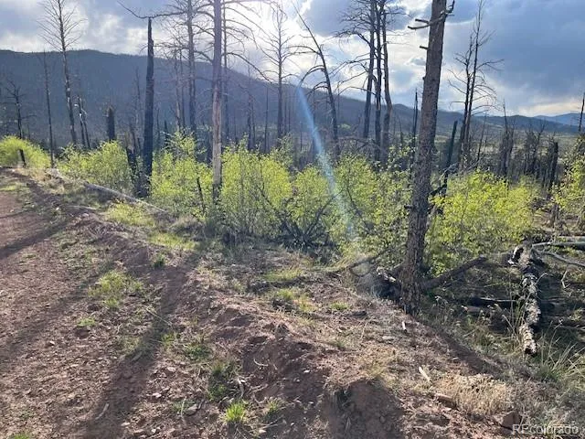 Lot 2248 Buonaventura Lane Fort Garland, CO 81133