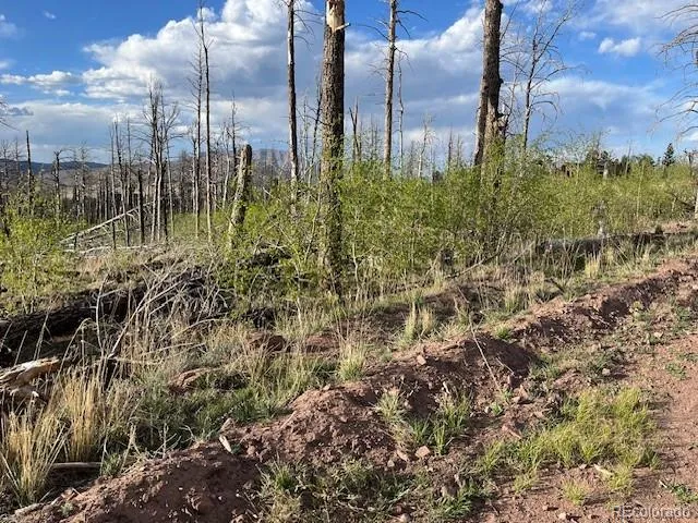 Lot 2248 Buonaventura Lane Fort Garland, CO 81133