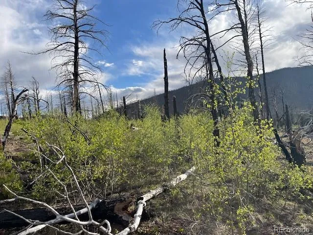 Lot 2248 Buonaventura Lane Fort Garland, CO 81133
