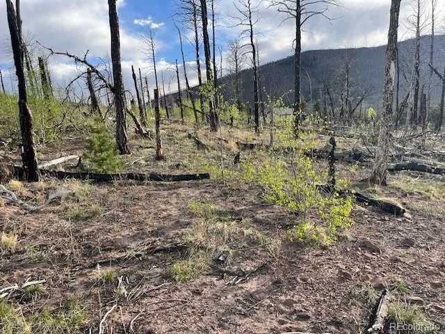 Lot 2248 Buonaventura Lane Fort Garland, CO 81133