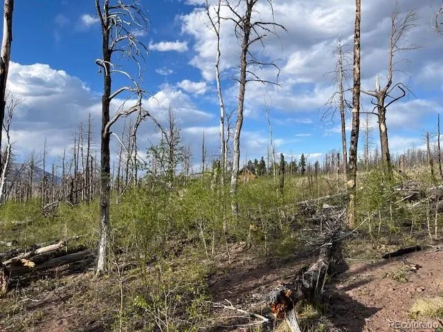 Lot 2248 Buonaventura Lane Fort Garland, CO 81133