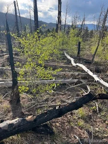 Lot 2248 Buonaventura Lane Fort Garland, CO 81133