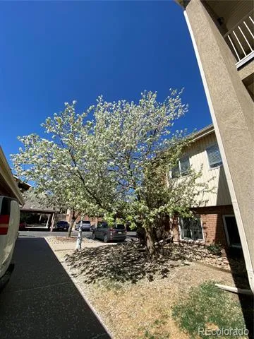 8685 Clay Street #305 Westminster, CO 80031