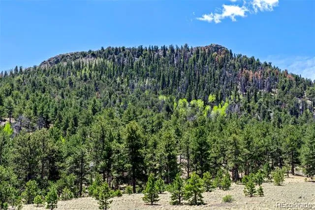 0 Roan Trail Guffey, CO 80820