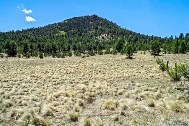 0 Roan Trail Guffey, CO 80820