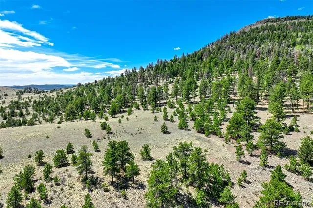 0 Roan Trail Guffey, CO 80820